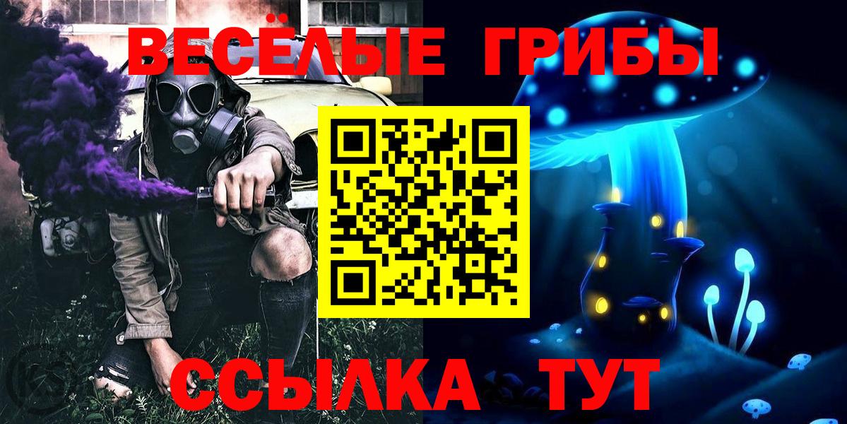 Псилоцибиновые грибы Magic Shrooms  Вход с VPN  Севастополь  Псилоцибиновые грибы мухоморы 